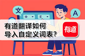 如何在有道翻译中添加自定义词汇?详细操作指南?
